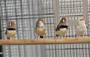 Bild vergrößern: 3674_10466_1_m