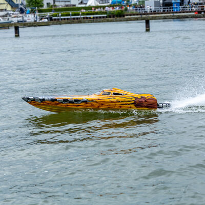 Bild vergr&ouml;&szlig;ern: 20250615-1550-53_FrankHeldt_R5M25963