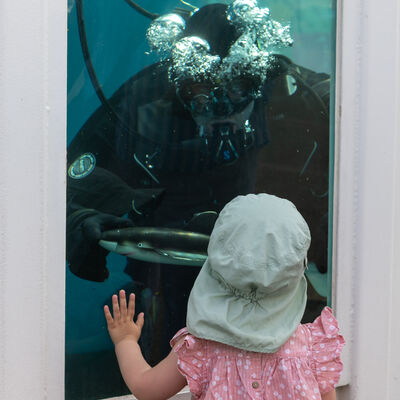 Bild vergr&ouml;&szlig;ern: 20250614-1146-31_FrankHeldt_R5M22239