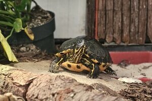 Bild vergrößern: 3674_10631_1_m