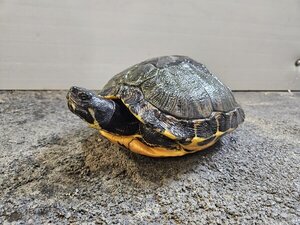 Bild vergrößern: 3674_10632_1_m