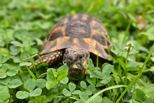 Bild vergr&ouml;&szlig;ern: Tier-der-Woche_Gabriel