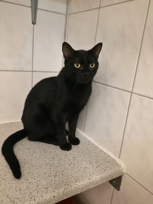 Bild vergrößern: Thomas