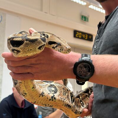 Einsätze mit Reptilien Leitstelle 