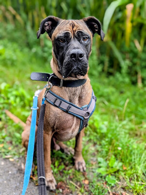 Bild vergrößern: Flash-1