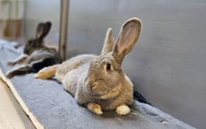 Bild vergrößern: 3674_10905_1_k