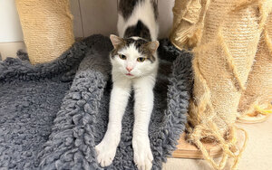 Bild vergrößern: Fury