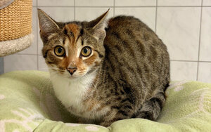 Bild vergrößern: Ursel