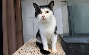 Bild vergrößern: 3674_10998_1_k