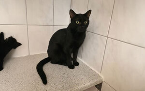 Bild vergrößern: 3674_10792_1_k-(1)