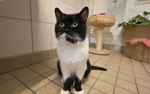 Bild vergrößern: 3674_10796_1_k