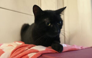 Bild vergrößern: 3674_10794_1_k