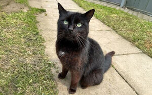 Bild vergrößern: 3674_4490_1_k