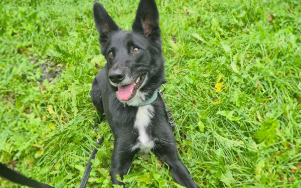 Tier-der-WOche---Timmy