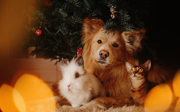 AdobeStock_334840039