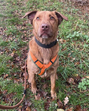 Bild vergr&ouml;&szlig;ern: 3674_11197_1_m