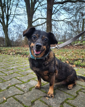 Bild vergr&ouml;&szlig;ern: Nila