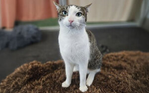 Bild vergr&ouml;&szlig;ern: 3674_11216_1_k