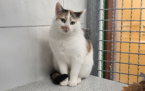 Bild vergr&ouml;&szlig;ern: Hina