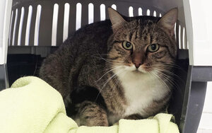 Bild vergr&ouml;&szlig;ern: Heinz