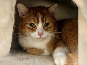 Bild vergr&ouml;&szlig;ern: Patrick