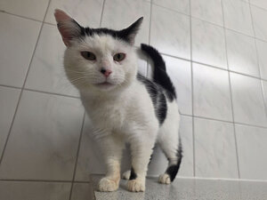 Bild vergr&ouml;&szlig;ern: Fernanda-aus-Berlin