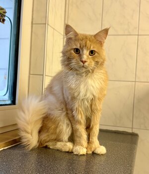 Bild vergr&ouml;&szlig;ern: Diego