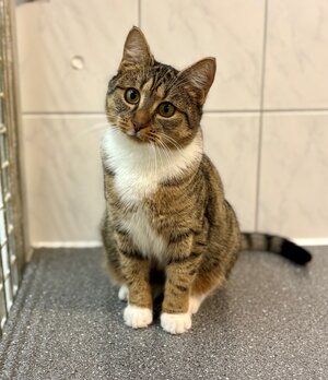 Bild vergr&ouml;&szlig;ern: Burrito