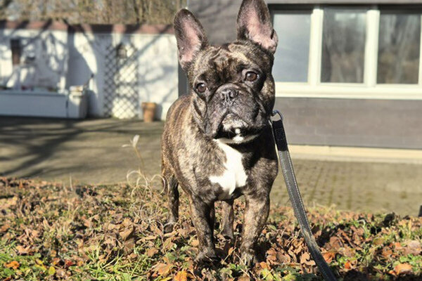 Tier der Woche - Bruno