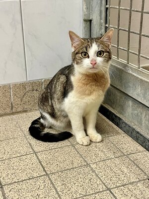 Bild vergr&ouml;&szlig;ern: Helge Neu