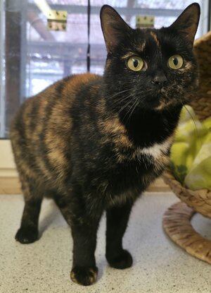 Bild vergr&ouml;&szlig;ern: Constanze