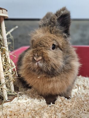 Bild vergr&ouml;&szlig;ern: Britta