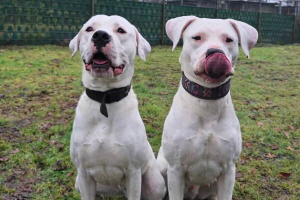 Jakob-(links)-und-Mary