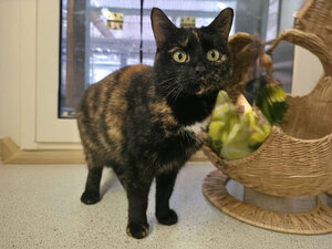 Bild vergr&ouml;&szlig;ern: 3674_11521_1_k