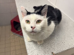 Bild vergr&ouml;&szlig;ern: 3674_11312_1_k