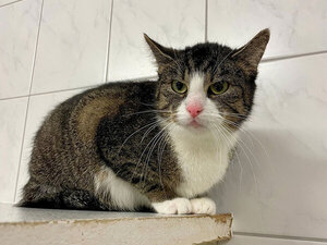 Bild vergr&ouml;&szlig;ern: 3674_11333_1_m