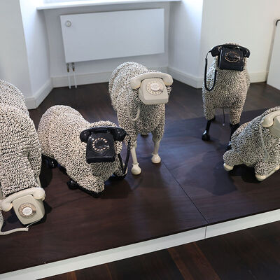 Bild vergr&ouml;&szlig;ern: IMG_8699