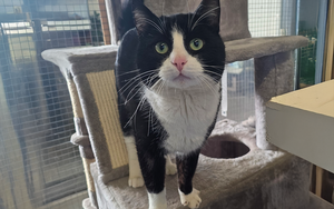 Bild vergr&ouml;&szlig;ern: Möppi