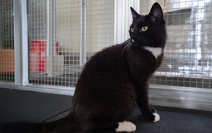 Bild vergr&ouml;&szlig;ern: Pablo