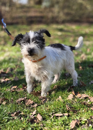 Bild vergr&ouml;&szlig;ern: Darla