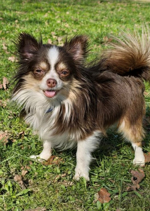 Bild vergr&ouml;&szlig;ern: Bo