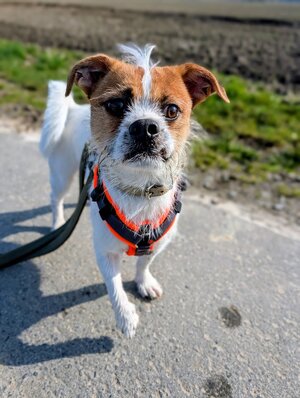 Bild vergr&ouml;&szlig;ern: Luke