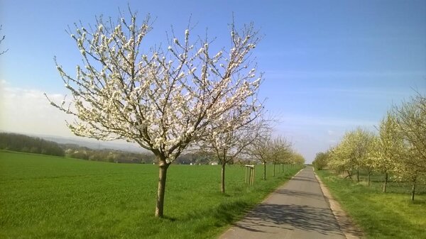Streuobstwiesen Kreis Unna Foto Hartmut A. Kemper Kreis Unna (2)