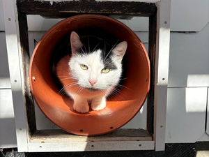 Bild vergr&ouml;&szlig;ern: 3674_11739_1_m