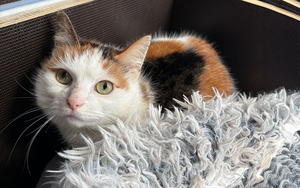 Bild vergr&ouml;&szlig;ern: ma