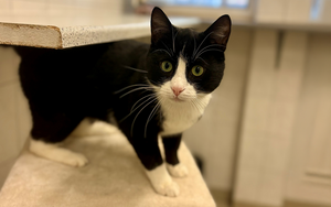 Bild vergr&ouml;&szlig;ern: Möppi