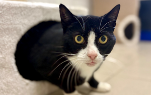 Bild vergr&ouml;&szlig;ern: Manuel