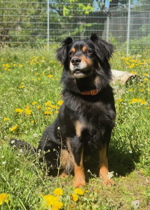 Bild vergr&ouml;&szlig;ern: Gulliver-NEU