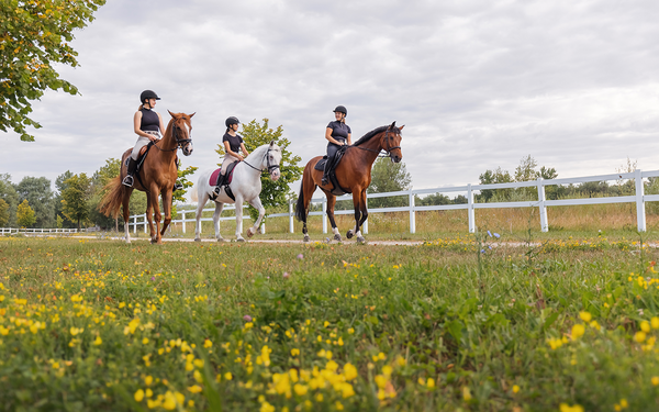 AdobeStock_601540597