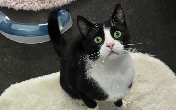 Tier-der-Woche---Möppi